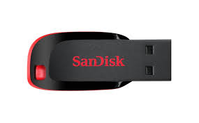SANDISK FLASH 4GB