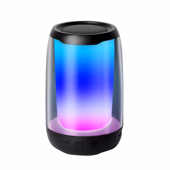 PLUSE 4 MINI SPEAKER